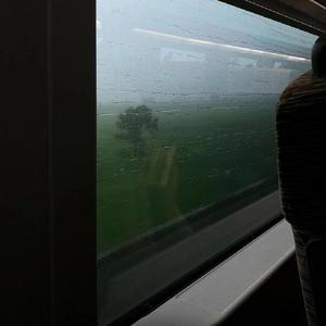 琼瑶冥诞87周年
