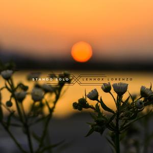 琼瑶冥诞87周年
